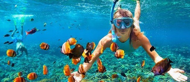 Mnemba Island Tour